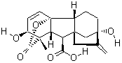 Gibberellic Acid (GA3): Nature's Growth Powerhouse Unlocked